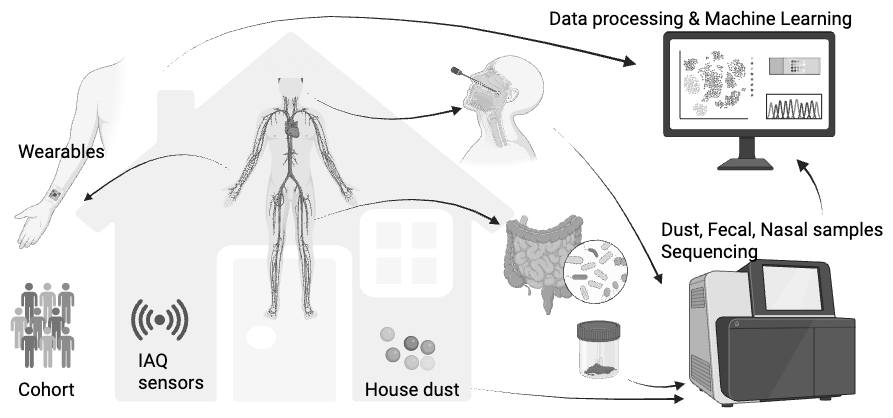 Study overview: indoor air sensors, house dust, wearables, nasal and gut samples feeding sequencing, data processing and machine learning